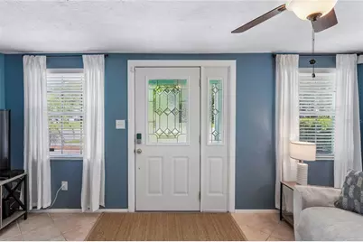 223 N Walton Avenue, Tarpon Springs, FL 34689 - Photo 3