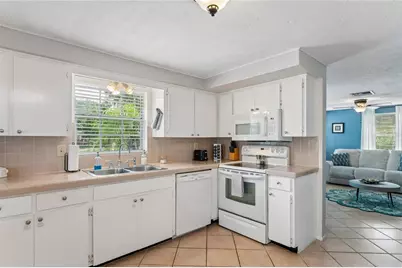 223 N Walton Avenue, Tarpon Springs, FL 34689 - Photo 45
