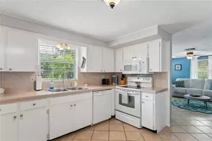 223 N Walton Ave, Tarpon Springs, FL 34689 - Photo 45