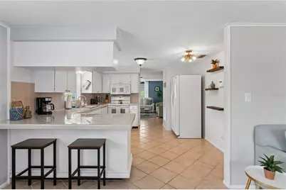 223 N Walton Avenue, Tarpon Springs, FL 34689 - Photo 43