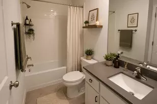 17258 Ashe Juniper Ln, Land O Lakes, FL 34638 - Photo 7