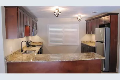 3326 Schefflera Road, Tampa, FL 33618 - Photo 11