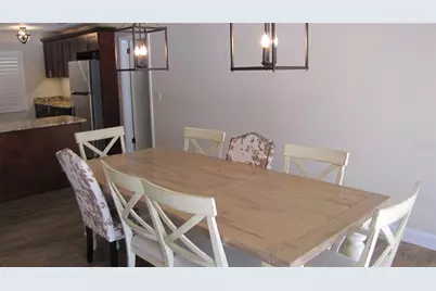 3326 Schefflera Road, Tampa, FL 33618 - Photo 7