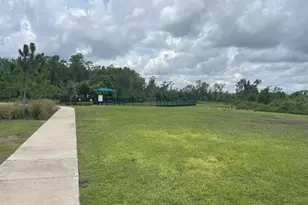 3943 Almond Brk Blvd, Land O Lakes, FL 34638 - Photo 21