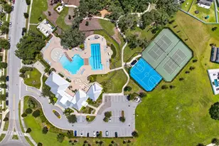 12826 Wildflower Meadow Dr, Riverview, FL 33579 - Photo 53