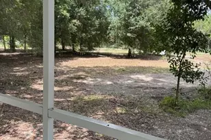 31208 Tyndall Rd, Wesley Chapel, FL 33545 - Photo 1