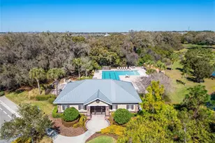 9128 Grant Line Ln, Riverview, FL 33578 - Photo 87