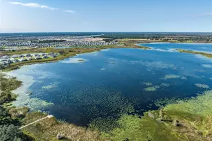 30908 Parrot Reef Ct, Wesley Chapel, FL 33545 - Photo 49