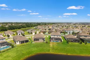 30908 Parrot Reef Ct, Wesley Chapel, FL 33545 - Photo 43