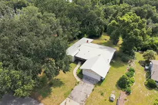 11515 N Ravine Rd, Tampa, FL 33612 - Photo 5
