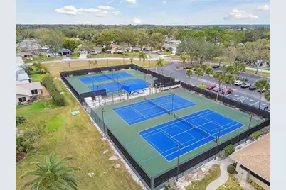 2150 Shelly Drive #B, Palm Harbor, FL 34684 - Photo 33