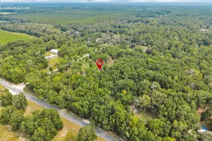 21619 41st Dr, Lake City, FL 32024 - Photo 55