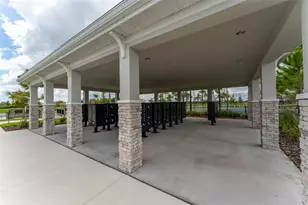 12592 Lily Quartz Loop, Parrish, FL 34219 - Photo 61
