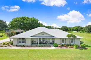 13221 Tom Gallagher Rd, Dover, FL 33527 - Photo 11