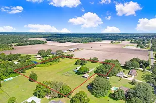 13221 Tom Gallagher Rd, Dover, FL 33527 - Photo 15
