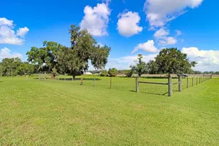 13221 Tom Gallagher Rd, Dover, FL 33527 - Photo 73