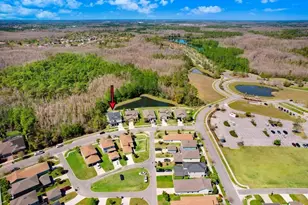 8721 Savory Walk Dr, Land O Lakes, FL 34637 - Photo 11