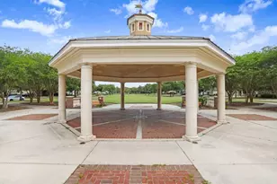 8721 Savory Walk Dr, Land O Lakes, FL 34637 - Photo 65