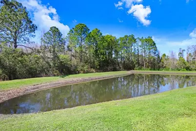 8721 Savory Walk Drive, Land O Lakes, FL 34637 - Photo 63