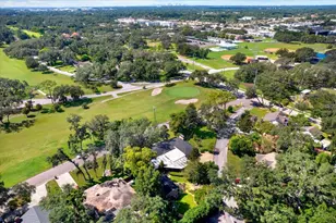302 Belle Terre Ave, Temple Terrace, FL 33617 - Photo 49