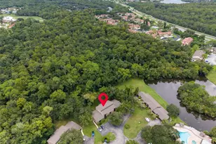 1400 Tarpon Woods Blvd, Palm Harbor, FL 34685 - Photo 43