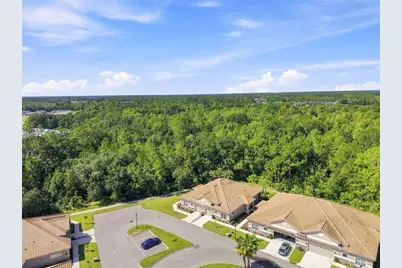 29817 Anand Vihar Drive, Wesley Chapel, FL 33543 - Photo 65