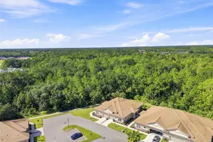 29817 Anand Vihar Dr, Wesley Chapel, FL 33543 - Photo 65