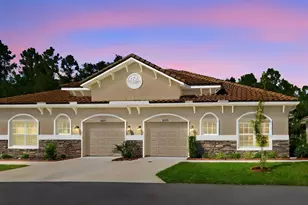29817 Anand Vihar Dr, Wesley Chapel, FL 33543 - Photo 1