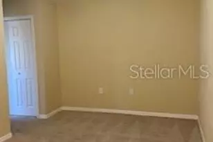 20418 Needletree Dr, Tampa, FL 33647 - Photo 13