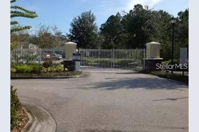 20418 Needletree Drive, Tampa, FL 33647 - Photo 27