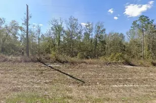 0 County Road 49, O'Brien, FL 32071 - Photo 1