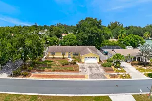 3832 Parkside Dr, Valrico, FL 33594 - Photo 53