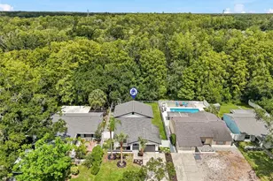15924 Winding Dr, Tampa, FL 33624 - Photo 31