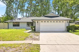 1123 Foggy Ridge Pkwy, Lutz, FL 33559 - Photo 1