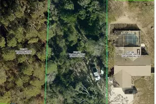 13341 Spring Hill Dr, Spring Hill, FL 34609 - Photo 1