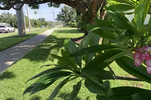 1655 S Highland Ave, Clearwater, FL 33756 - Photo 31