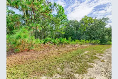 13233 English Fir Court, Weeki Wachee, FL 34614 - Photo 19