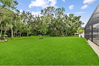 15713 Muirfield Drive, Odessa, FL 33556 - Photo 3