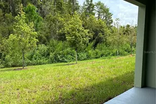 32519 Midsummer Night Ln, Wesley Chapel, FL 33543 - Photo 11