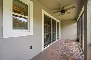 1103 Mango Ct, Oldsmar, FL 34677 - Photo 19