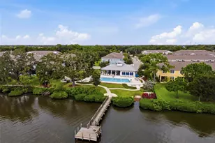1103 Mango Ct, Oldsmar, FL 34677 - Photo 51