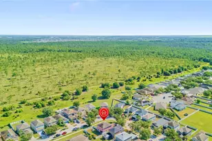 7719 Maroon Peak Dr, Ruskin, FL 33573 - Photo 43