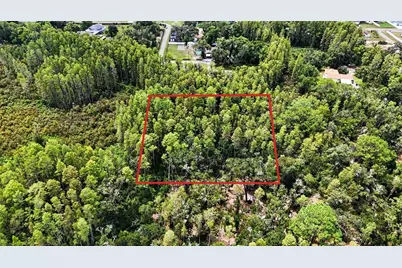 0 2nd Avenue NE, Lutz, FL 33549 - Photo 13