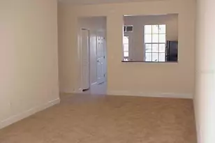5209 Olmstead Bay Place, Tampa, FL 33611 - Photo 5