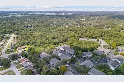 0000 Allview Drive, Tampa, FL 33637 - Photo 31