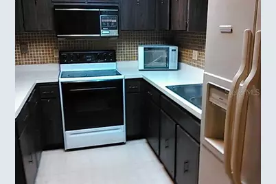10006 N Mitchell Avenue, Tampa, FL 33612 - Photo 5