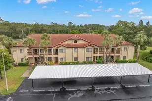 1801 E Lake Rd, Palm Harbor, FL 34685 - Photo 41