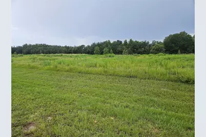 8881 Valerie Court, Zephyrhills, FL 33540 - Photo 3