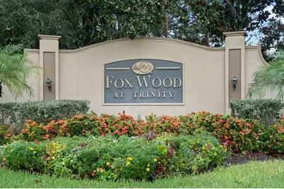 2313 Edelweiss Loop, Trinity, FL 34655 - Photo 3