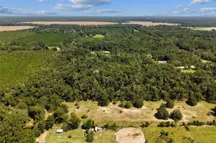 193 NE 944th Ave, Branford, FL 32008 - Photo 39
